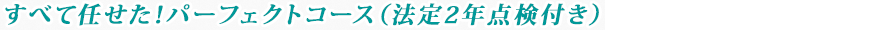 すべて任せた！パーフェクトコース（法定2年点検付き）